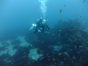 中性浮力もとれる様になりましたね。