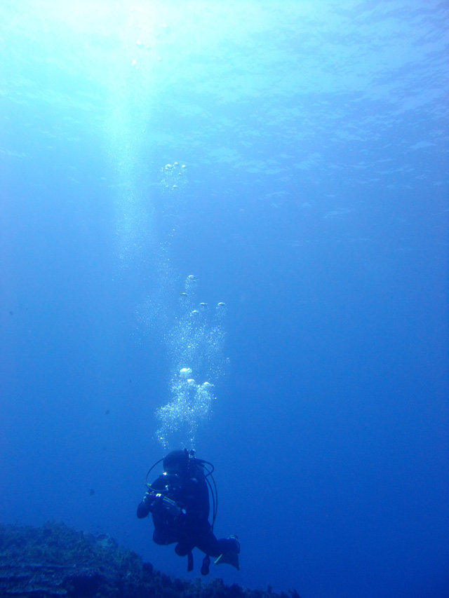 暖かく青い海は気持ちいいですね。