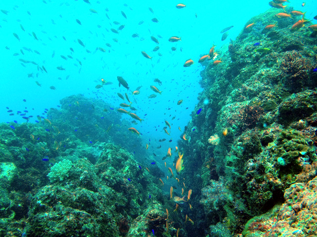 玄武岩とはひと味違った神津島の海