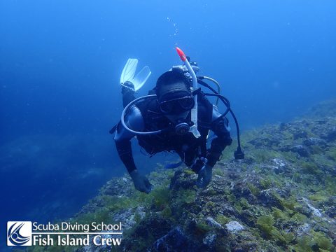 王の浜は22℃透視度15m