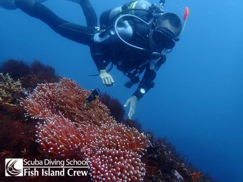 もう中性浮力もバッチリ