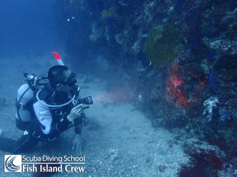 水深30mで水中ライトの必要性を確認中