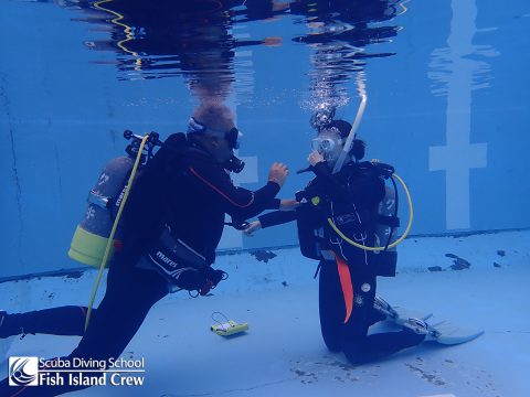 水中では落ち着きが大事