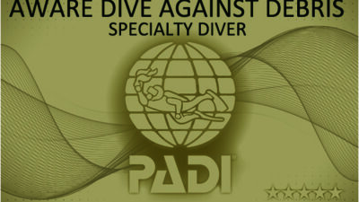 お得なDive Against Debris® × EVレンタカー セットプラン