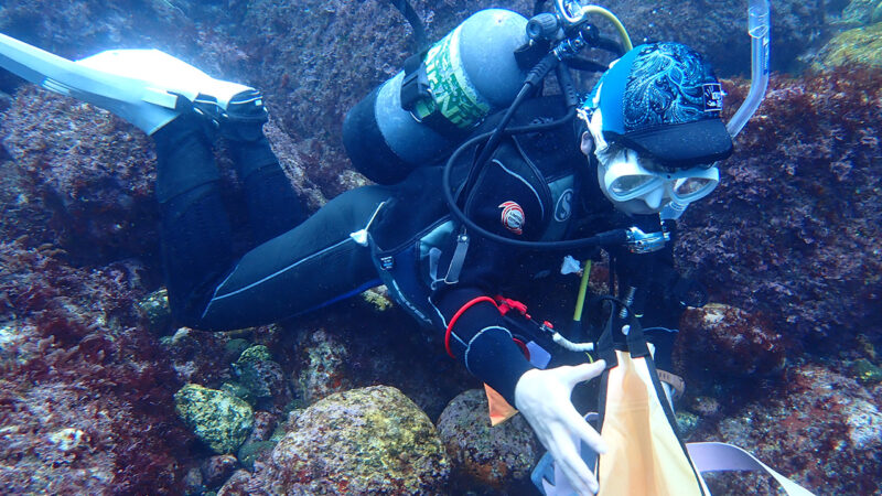 PADI 上達コース in 伊豆大島（Fish Island Crew）