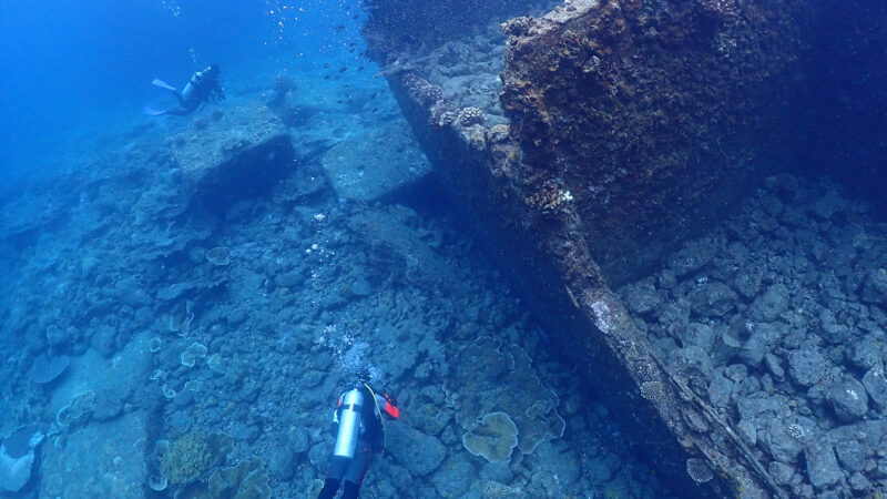 半年に一度の小笠原ダイブ遠征（父島）
