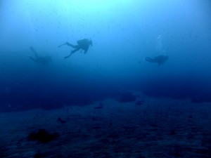 ダイブマスター3人のナビ練習