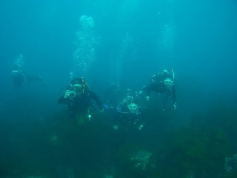 後方でサポート