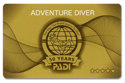 adventure diver