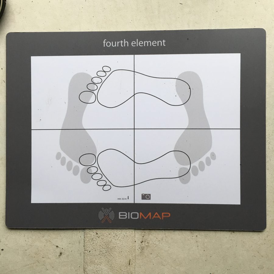BIOMAP fourthelement