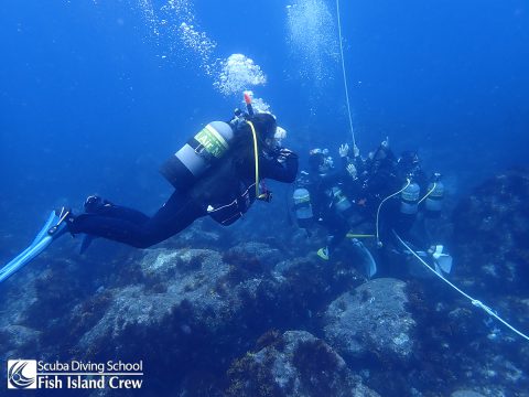 余裕のホバーリングで見ています