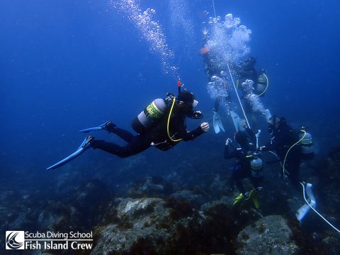 別班のオープンウォーターダイバーコース