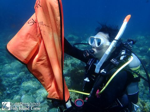 お宝を浮上させる