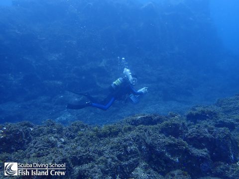 ついに水中スクーター