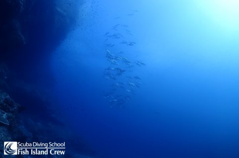 父島閂ロック