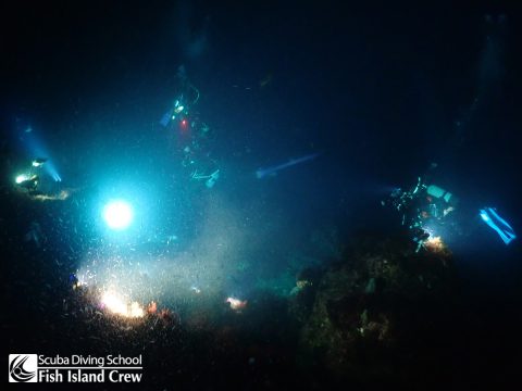 未知との遭遇