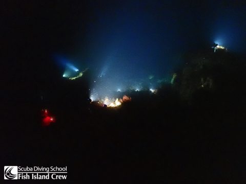水中をライトアップ