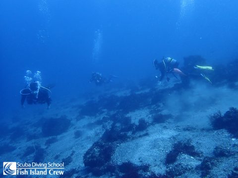 午後の秋の浜
