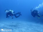 砂地が気持ちいい